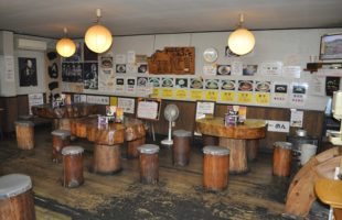 Naikan2 onigarashi iwanuma